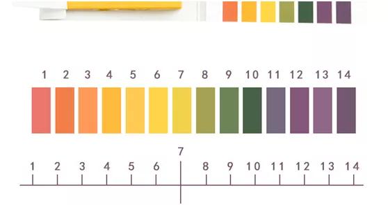 贝斯特 - 全球最奢华的游戏平台
