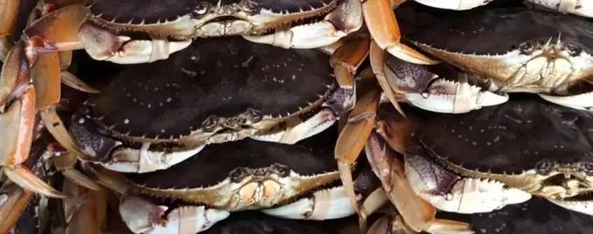 水产入口：海鲜入口从香港中转内地怎样清关？？？？？