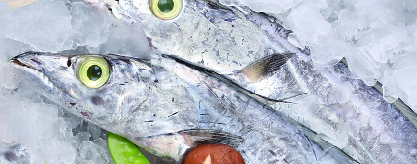 冻带鱼入口报关注重事项？？？？？？