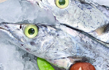 冻带鱼入口报关注重事项？？？？？？