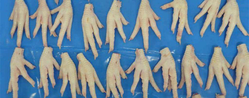 巴西冻鸡爪入口广州清关署理