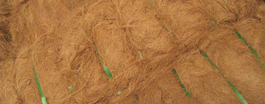 广州清关：印度椰壳纤维入口清关解决计划