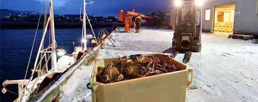 外洋活海鲜入口广州可以清关吗？？？？？