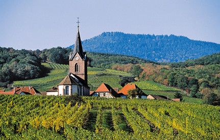 葡萄酒入口报关：法国红酒入口报关要素有哪些？？？？